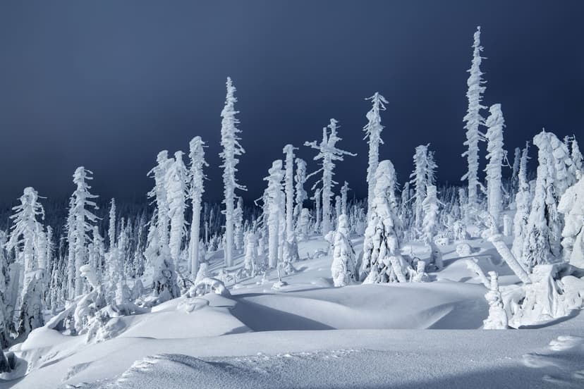 A STALVO home is for all seasons
